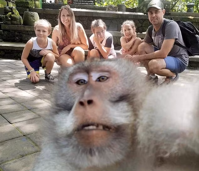 Đi nghỉ mát, gia đình được khỉ chụp “tự sướng” ấn tượng như người