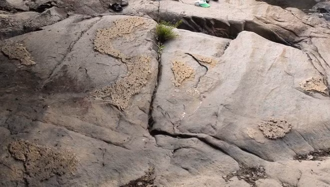 Bản đồ Việt Nam trên đá.