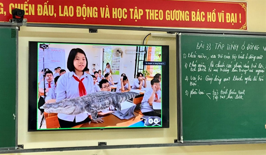 Học sinh được trải nghiệm tìm hiểu về cá sấu trong tiết học. Học sinh được trải nghiệm tìm hiểu về cá sấu trong tiết học.