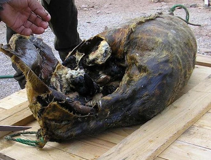 Rợn người với 9 món ăn "kinh dị" bậc nhất thế giới ảnh 5 Rợn người với 9 món ăn "kinh dị" bậc nhất thế giới ảnh 5