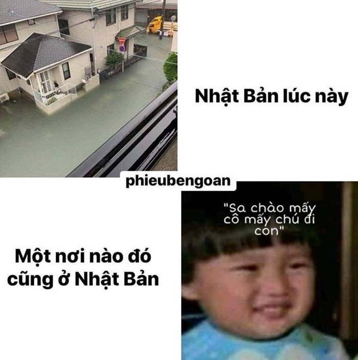 Cậu bé lai Việt Nhật bỗng thành hiện tượng mạng vì gương mặt hài hước ảnh 2