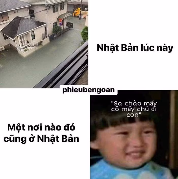 Cậu bé lai Việt Nhật bỗng thành hiện tượng mạng vì gương mặt hài hước ảnh 2 Cậu bé lai Việt Nhật bỗng thành hiện tượng mạng vì gương mặt hài hước ảnh 2