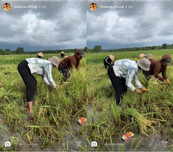 Những sở thích "độc lạ, khó đỡ" của 3 nàng hậu H"Hen Niê, Mai Phương Thúy ,Tiểu Vy ảnh 13 Những sở thích "độc lạ, khó đỡ" của 3 nàng hậu H"Hen Niê, Mai Phương Thúy ,Tiểu Vy ảnh 13