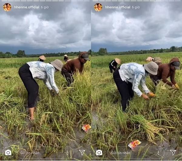 Những sở thích "độc lạ, khó đỡ" của 3 nàng hậu H"Hen Niê, Mai Phương Thúy ,Tiểu Vy ảnh 13