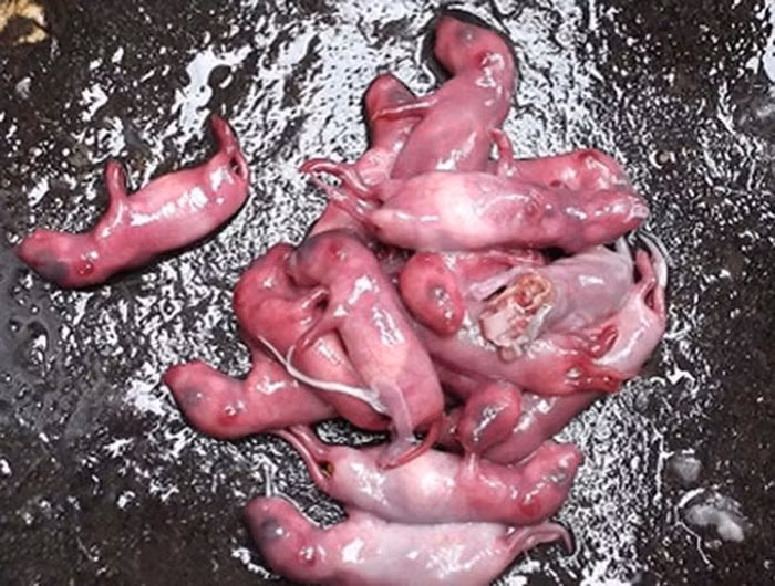 Rợn người với 9 món ăn "kinh dị" bậc nhất thế giới ảnh 26