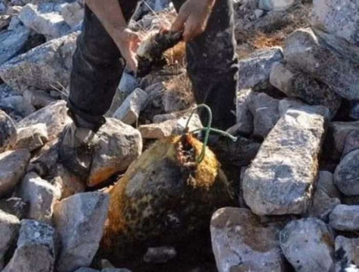 Rợn người với 9 món ăn "kinh dị" bậc nhất thế giới ảnh 4