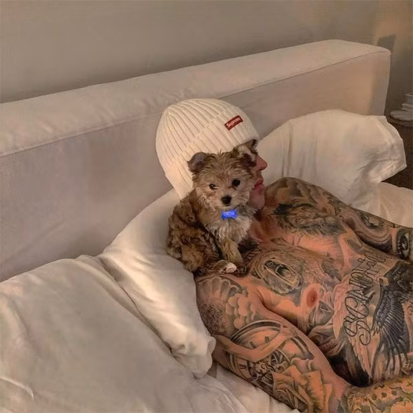 Justin Bieber khoe biệt thự 8,5 triệu USD đẹp như mơ ảnh 11