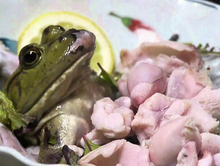 Rợn người với 9 món ăn "kinh dị" bậc nhất thế giới ảnh 14 Rợn người với 9 món ăn "kinh dị" bậc nhất thế giới ảnh 14