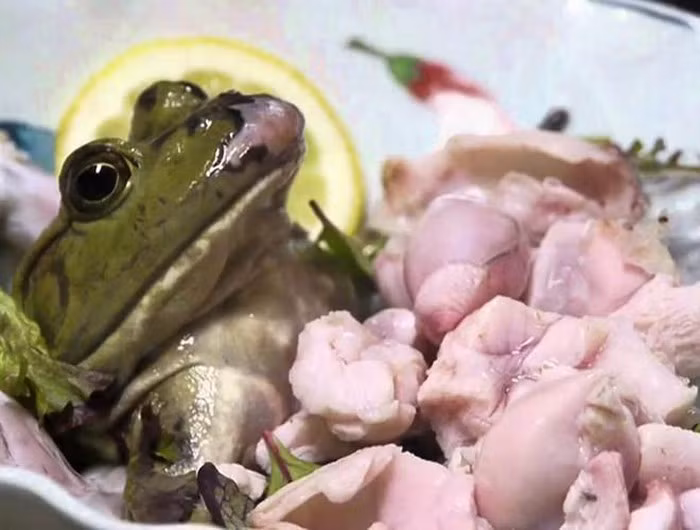 Rợn người với 9 món ăn "kinh dị" bậc nhất thế giới ảnh 14