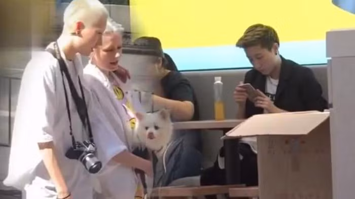 Con gái Thành Long ngày càng giống người anh trai ảnh 1