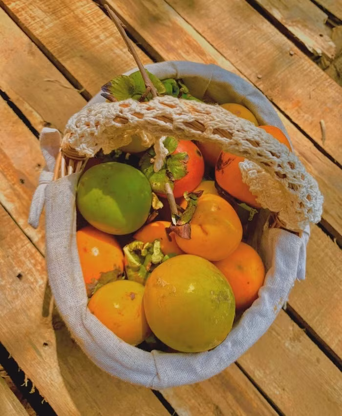 Đến Đà Lạt, không thể không check-in những điểm mới toanh này ảnh 4