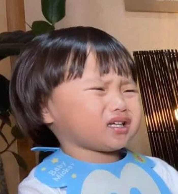 Cậu bé lai Việt Nhật bỗng thành hiện tượng mạng vì gương mặt hài hước ảnh 4