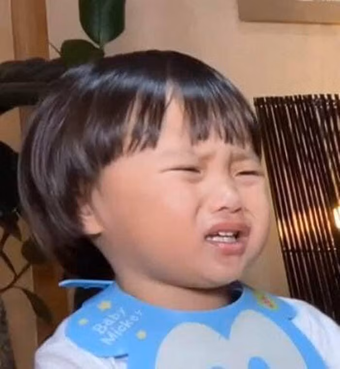 Cậu bé lai Việt Nhật bỗng thành hiện tượng mạng vì gương mặt hài hước ảnh 4 Cậu bé lai Việt Nhật bỗng thành hiện tượng mạng vì gương mặt hài hước ảnh 4