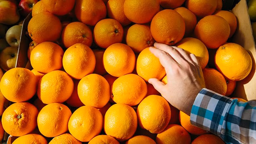 Trái cây chứa vitamin C có thể giúp bảo vệ cơ thể chống lại stress oxy hóa và giúp hỗ trợ chức năng miễn dịch. (Ảnh: ITN).