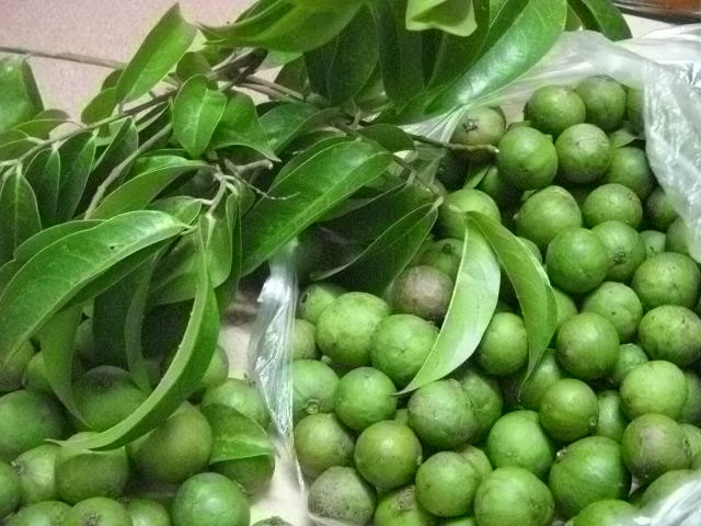 Quả sấu - loại quả đặc trưng mùa hè miền Bắc.