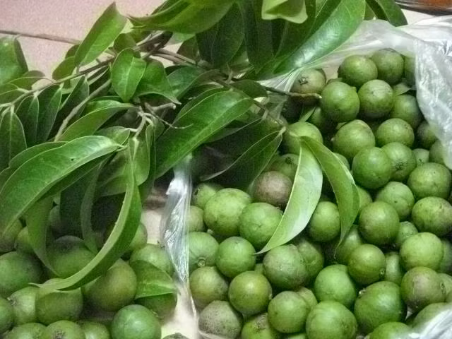 Quả sấu - loại quả đặc trưng mùa hè miền Bắc.