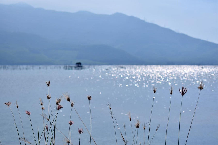 Khám phá “tuyệt tình cốc” phiên bản cực ít người biết ở Huế - Ảnh 5. Khám phá “tuyệt tình cốc” phiên bản cực ít người biết ở Huế - Ảnh 5.