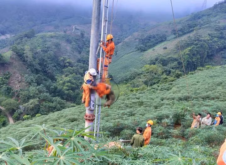 Điện lực Văn Bàn hỗ trợ đưa thi thể nạn nhân xuống đất