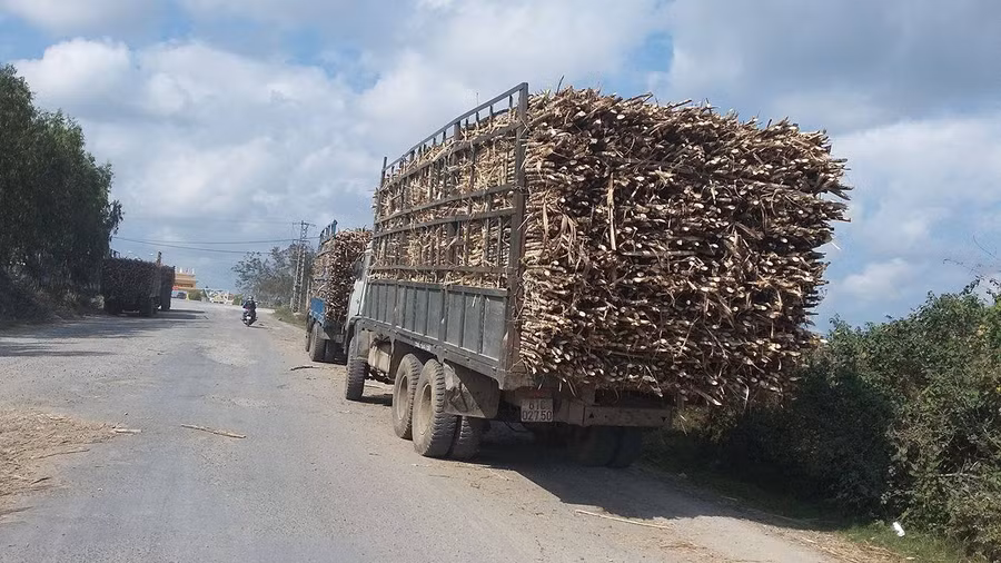 Sau khi 1 Chánh thanh tra và 1 đội trưởng bị kỷ luật, TTGT Gia Lai đang mở đợt cao điểm xử lý xe quá tải.
