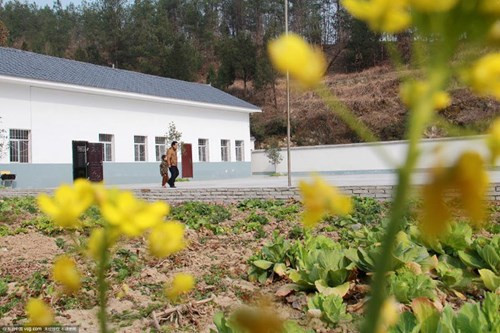 Kỳ lạ ngôi trường chỉ có 1 học sinh - ảnh 3