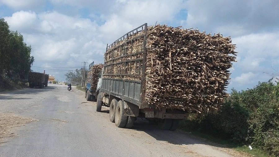 Sau khi 1 Chánh thanh tra và 1 đội trưởng bị kỷ luật, TTGT Gia Lai đang mở đợt cao điểm xử lý xe quá tải.
