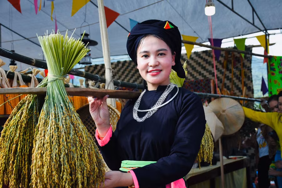 Thiếu nữ người Tày bên gánh lúa nếp non Thiếu nữ người Tày bên gánh lúa nếp non