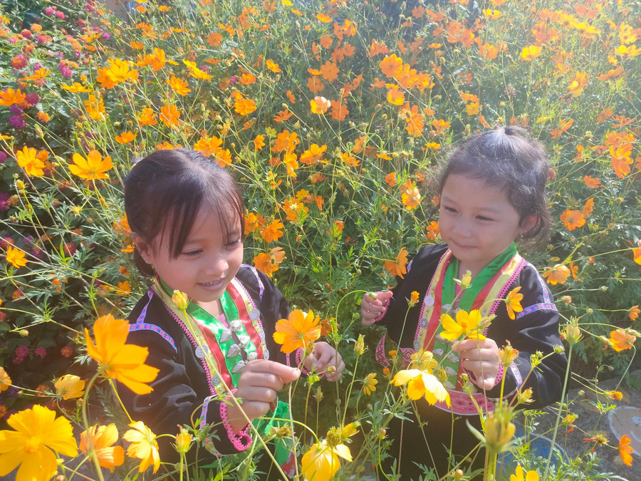 Các bé được trải nghiệm tại vườn trường Các bé được trải nghiệm tại vườn trường