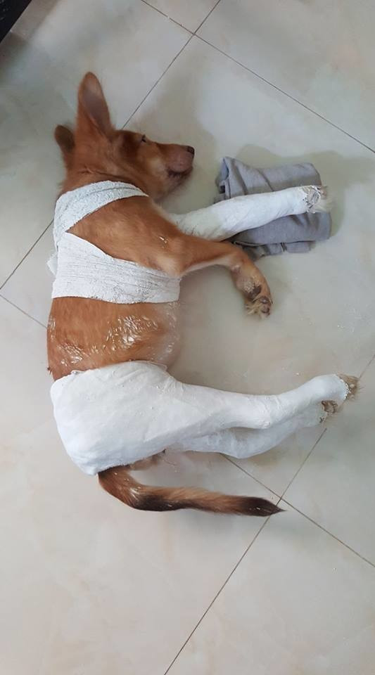 Chân cẳng thế này làm sao mà hẹn hò được nhỉ?! Chân cẳng thế này làm sao mà hẹn hò được nhỉ?!
