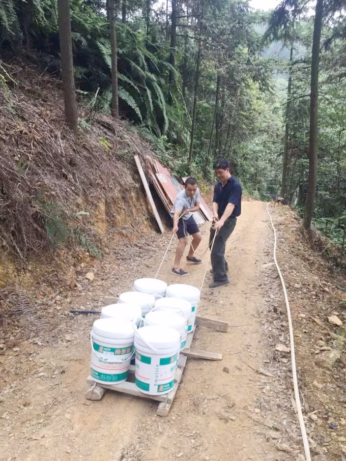 Cô gái xây nhà trên núi đưa cha mẹ lên sống ẩn dật ảnh 5