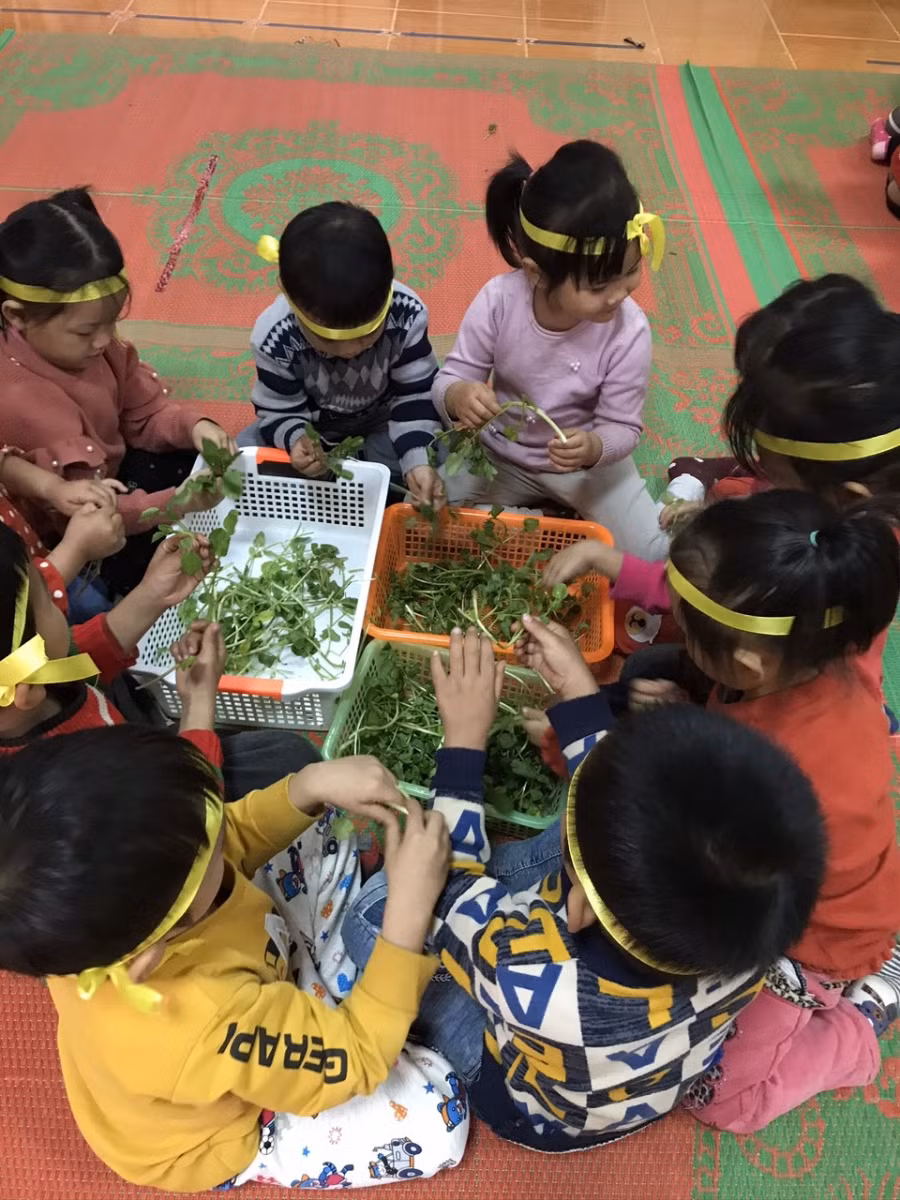 Học sinh trong giờ sinh hoạt ngoại khóa.