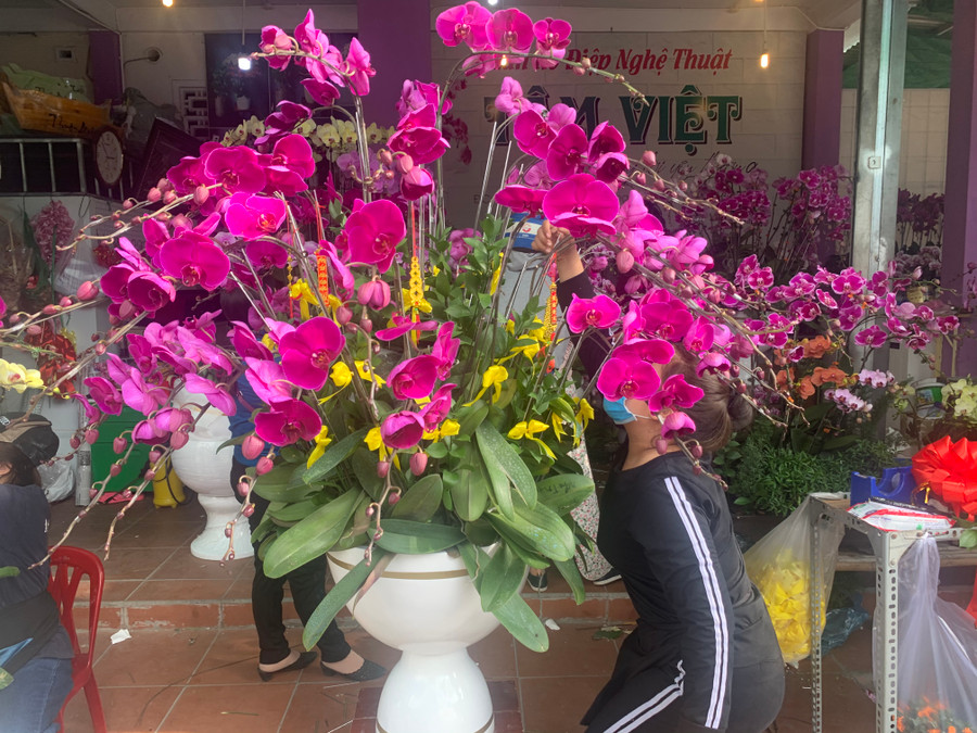 Những chậu lan được trang trí rất bắt mắt. Những chậu lan được trang trí rất bắt mắt.