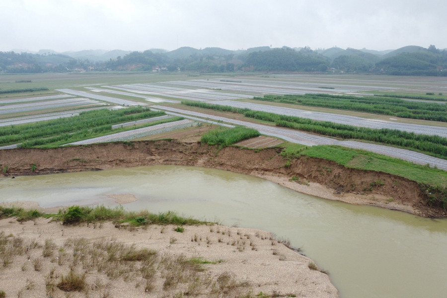 Bờ sông Lam chảy qua xã Đỉnh Sơn bị sạt lở nghiêm trọng. (Ảnh: Phạm Tâm) Bờ sông Lam chảy qua xã Đỉnh Sơn bị sạt lở nghiêm trọng. (Ảnh: Phạm Tâm)
