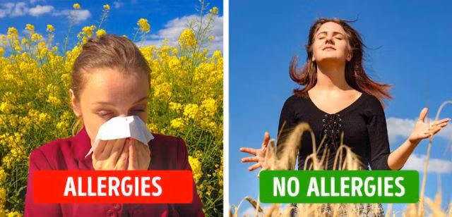 Chỉ cần ăn 3 quả này mỗi ngày, vừa phòng ung thư vừa giúp chị em giảm cân nhanh chóng