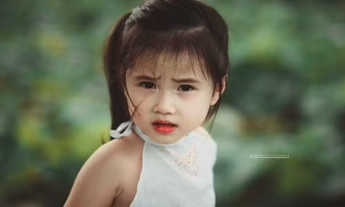 Một bộ ảnh với cảm xúc mới lạ bên những đầm sen