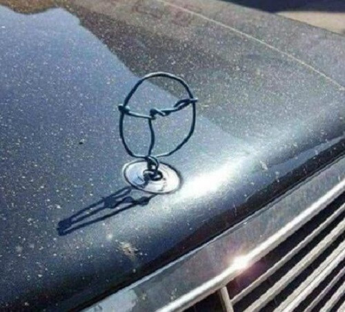 Không giàu sang nhưng sáng tạo.