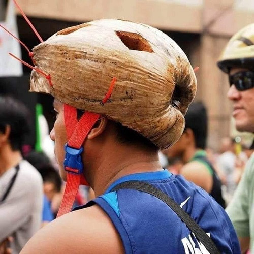 Mũ bảo hiểm cây nhà lá vườn.