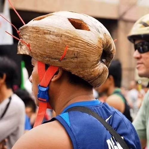 Mũ bảo hiểm cây nhà lá vườn.