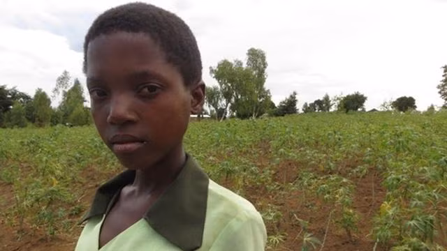 Kỳ lạ nơi con gái phải học cách “yêu” từ sớm