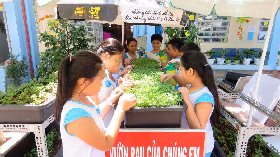 HS Trường TH Trần Hưng Đạo (quận Ô Môn, TP Cần Thơ) thích thú khi chăm sóc vườn rau