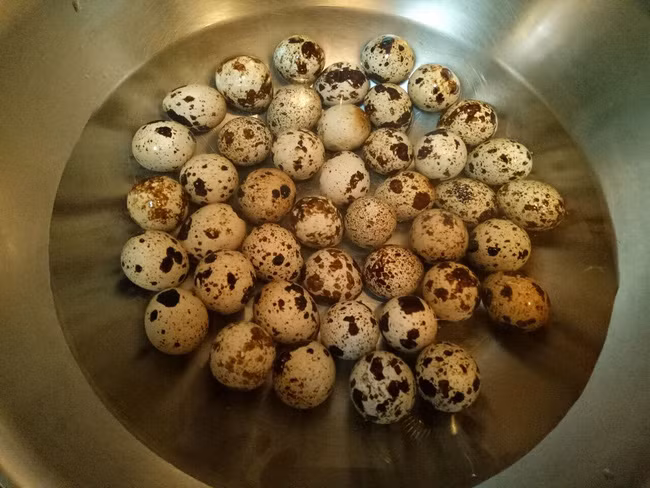 Cách luộc trứng cút ngon: Học cách luộc trứng cút ngon mê mẩn - Ảnh 1.