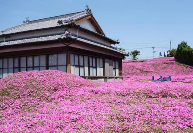  Ngôi nhà bình yên như trong chuyện cổ. 