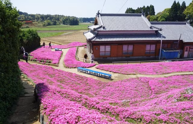  Ngôi nhà nhỏ xinh xắn bởi được trồn hoa xung quanh. 