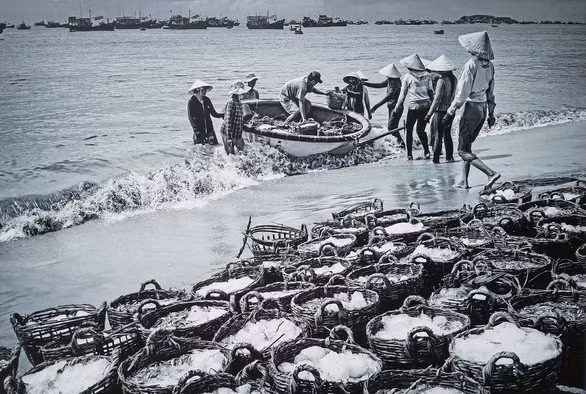 Ảnh biển đảo đẹp đến ngỡ ngàng trên phố đi bộ Nguyễn Huệ - Ảnh 4.