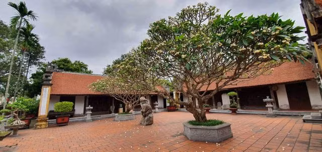 Sư trụ trì chùa Trung Hành bị "tố" chửi bới, dọa thả chó cắn nát mặt phật tử