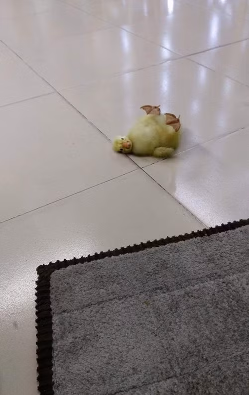 Ở ngoài này mát hơn trong trứng nhiều, biết vậy ra sớm hơn.