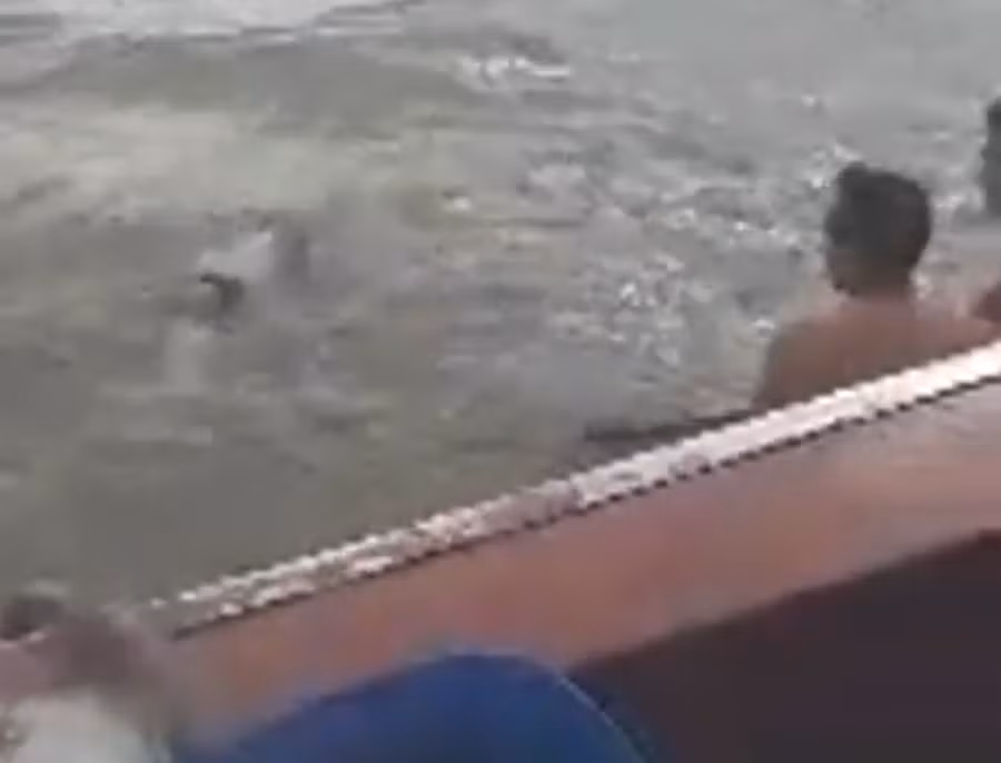 Lực lượng chức năng vớt thi thể dưới biển - ảnh cắt từ video.