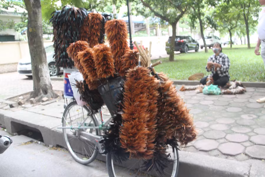 Những chiếc chổi lông gà không phải để phủi bụi hay đánh đòn đứa trẻ hư - mà có thể trưng bày như một tác phẩm.