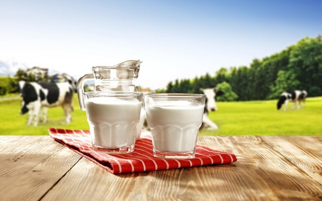 Trẻ dưới một tuổi không nên ăn gì?