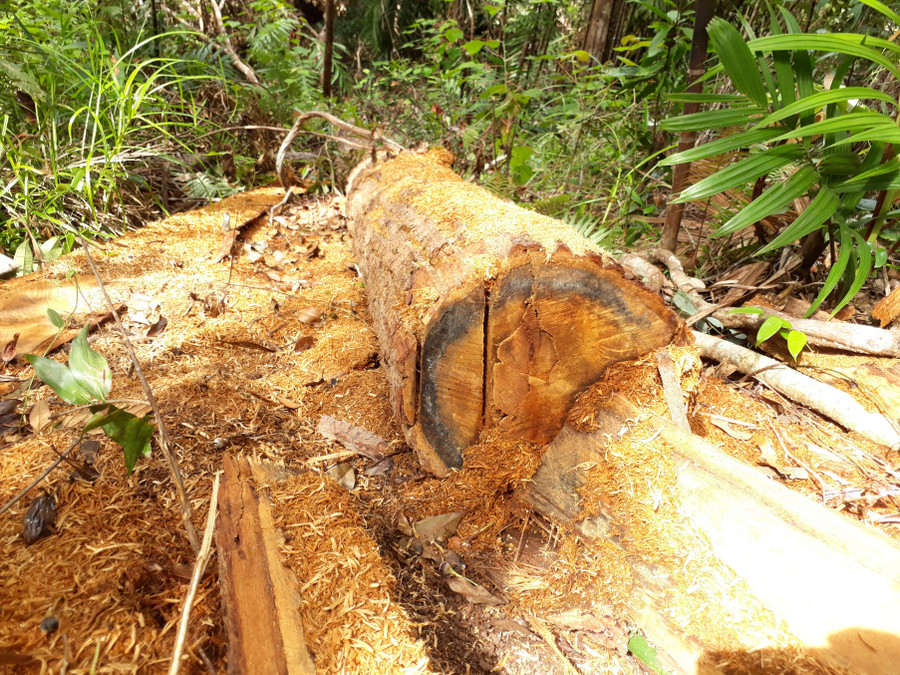 Lực lượng chức năng đang tiếp tục kiểm tra hiện trường Lực lượng chức năng đang tiếp tục kiểm tra hiện trường