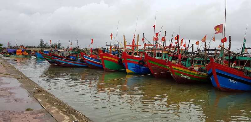 Hàng trăm tàu thuyền toàn tỉnh cập bến, neo đậu an toàn Hàng trăm tàu thuyền toàn tỉnh cập bến, neo đậu an toàn